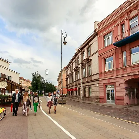 Lejlighed #stayhere - Spacious 2bdr Two Floor I Heart Of Old Town Vilnius